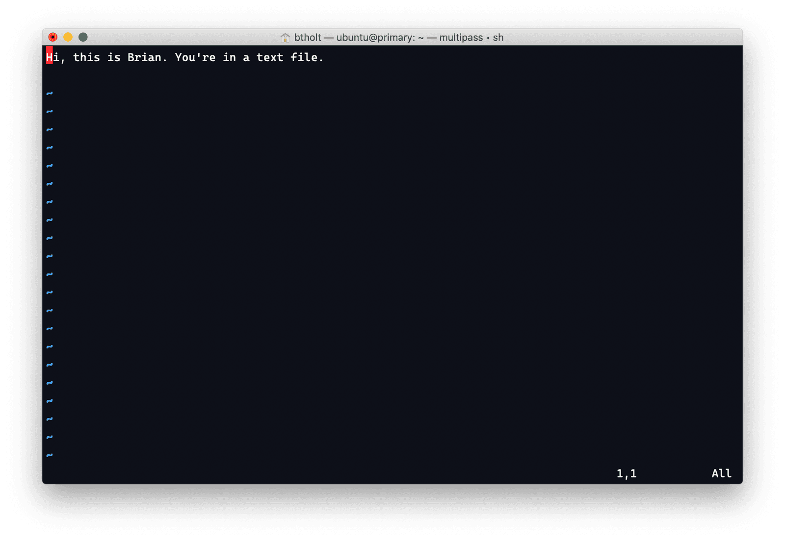 how to edit file in linux vim