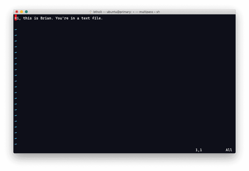 screenshot of vim with textfile.txt open