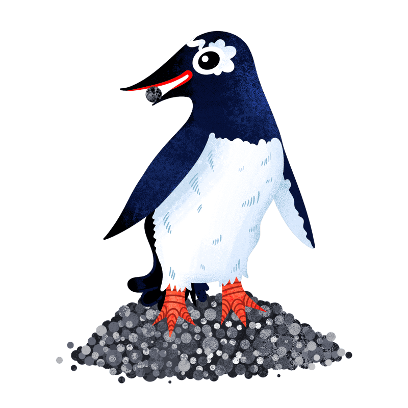 Cute drawing of gentoo penguin